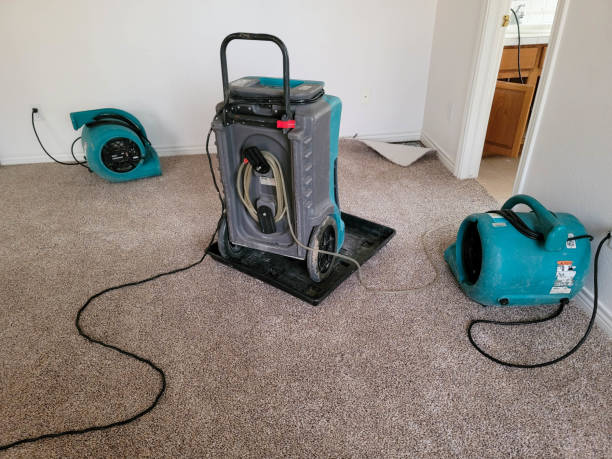 Best Carpet water damage restoration  in Chattahoochee Hills, GA