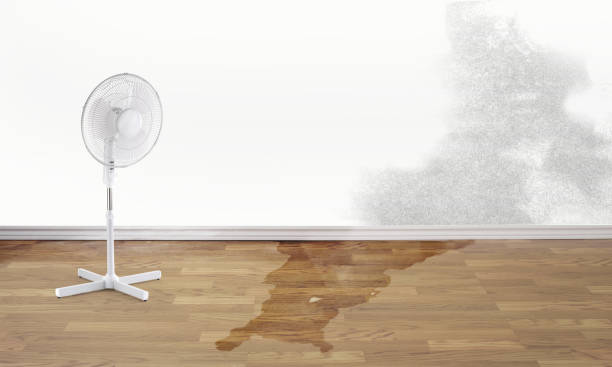 Best Basement water damage restoration  in Chattahoochee Hills, GA
